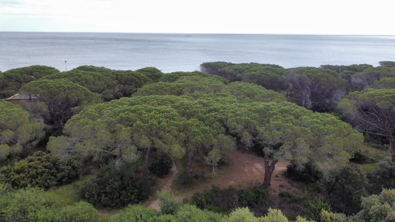 Le Pavoncelle Budoni Exterior foto